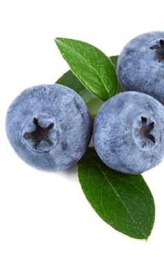 berry top side image