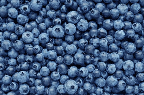 Bundle of Blueberries