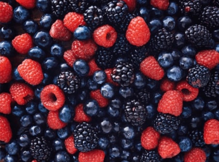Bundle of Organic berries
