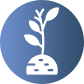 details icon