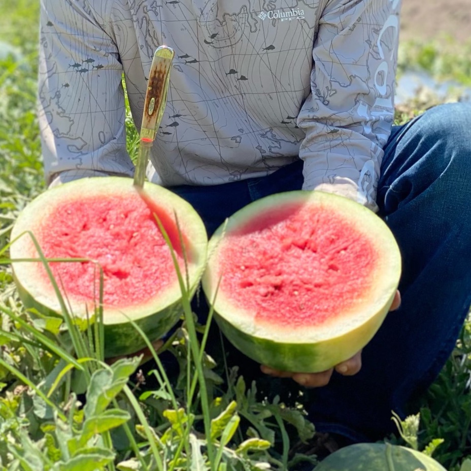 Right image of the product in the farm