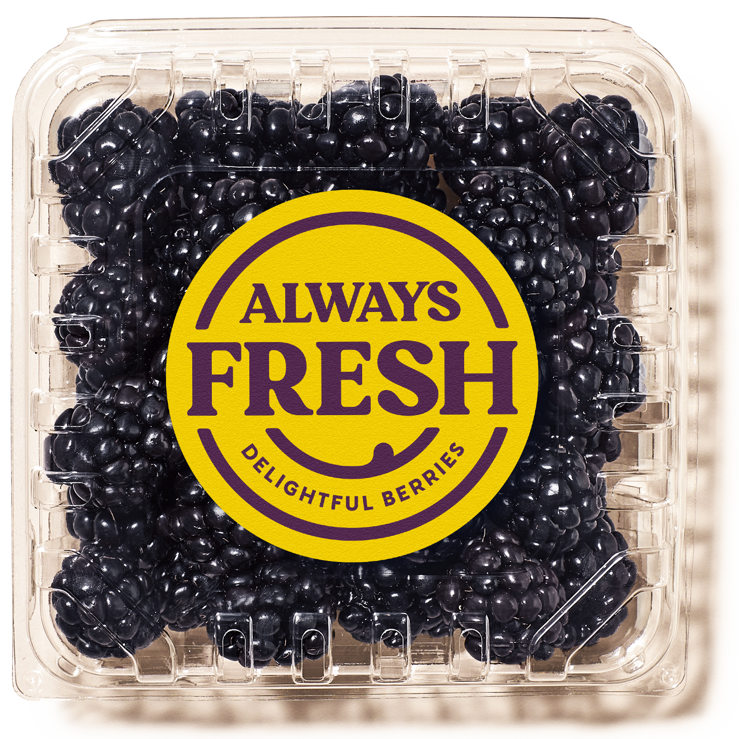Image of Always Fresh blackberries in clear container