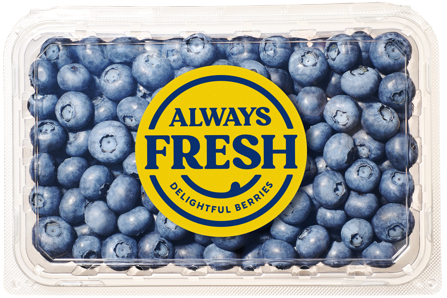 Image of Always Fresh Blueberries in clear container with Always Fresh logo and the tag line Delightful Berries.