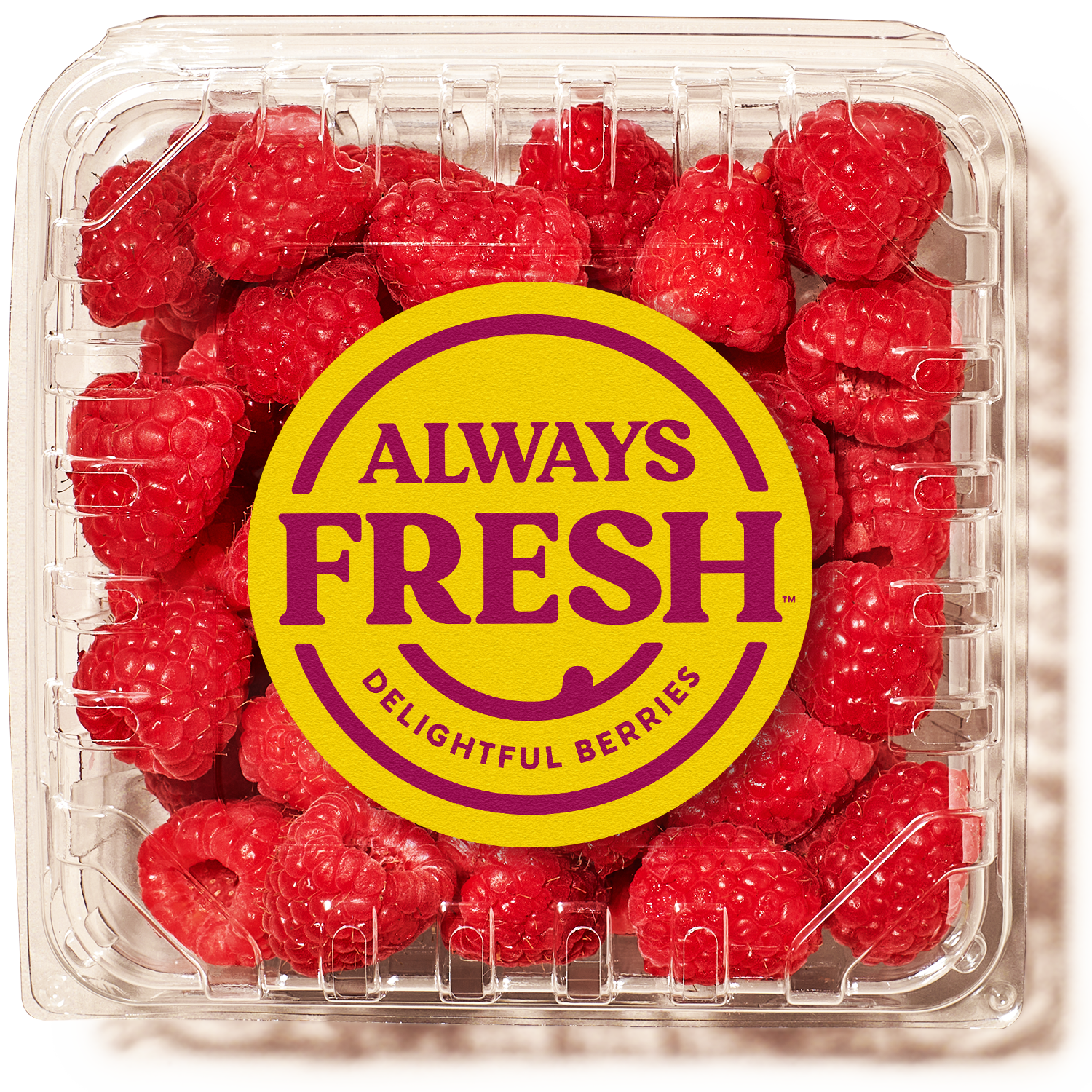 Image of Always Fresh raspberries in clear container with Always Fresh logo and the tag line Delightful Berries.