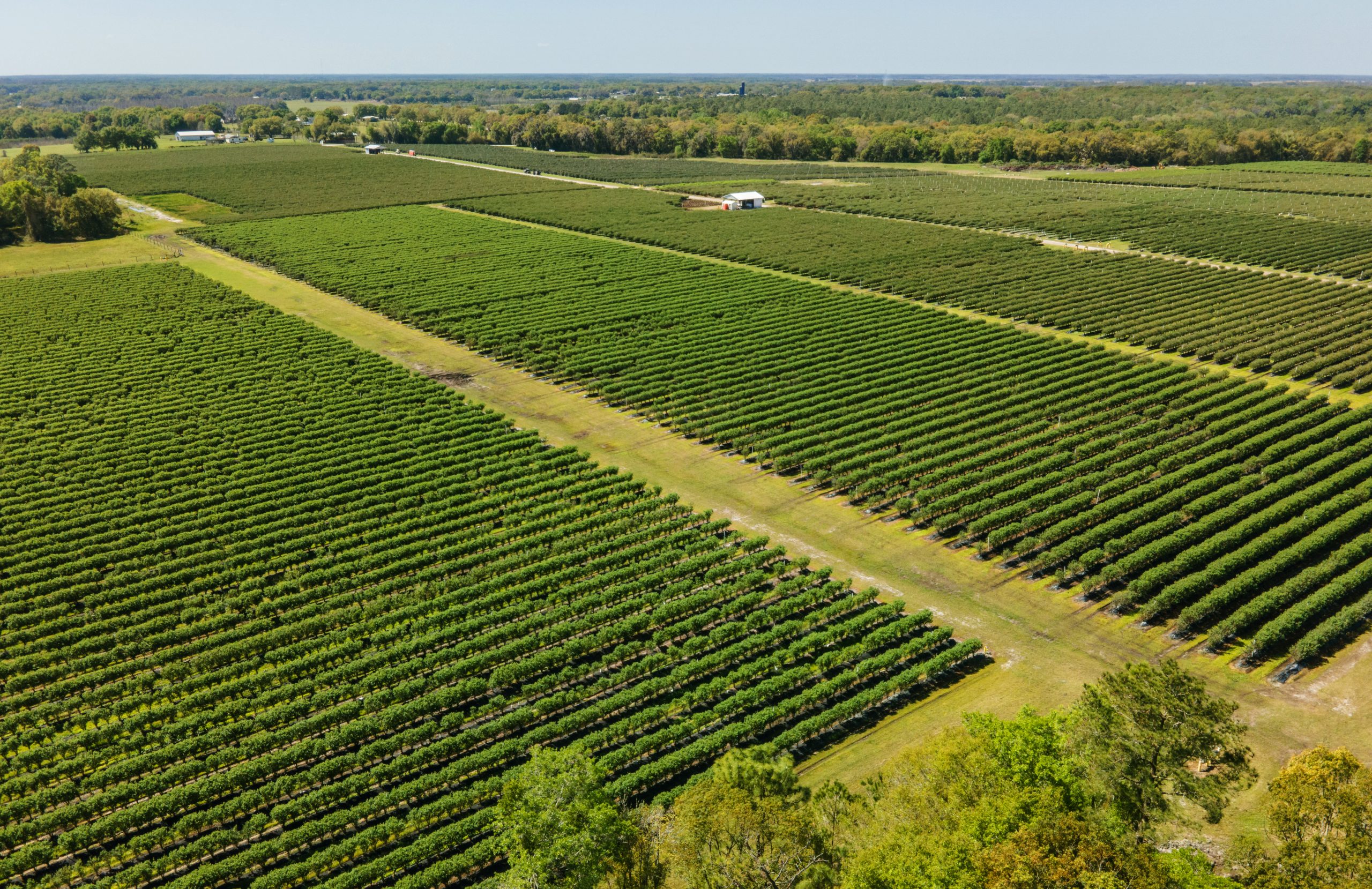 Image of Always Fresh farm arial view