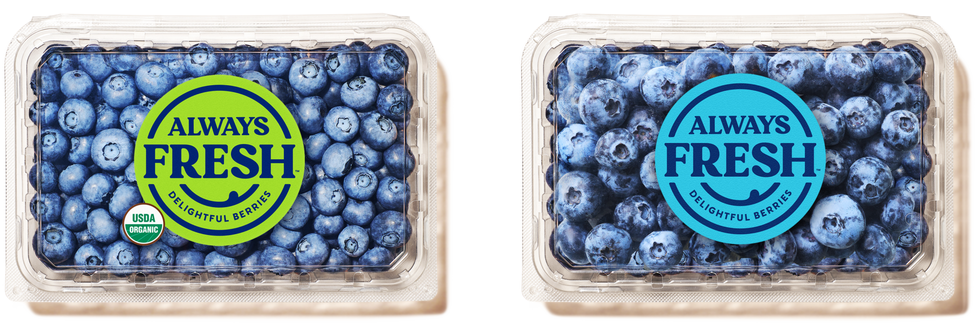 Image of Always Fresh blueberries and jumbo blueberries in a container.